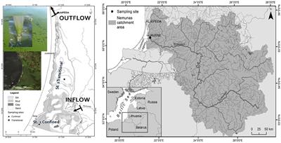 Drivers of Cyanobacterial Blooms in a Hypertrophic Lagoon